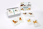 Hunde-und-Welpen-Quartett mit Spielkarten und Box