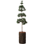Künstlicher Zedernbaum mit Rindenfuß - 10x60 cm (Grün)