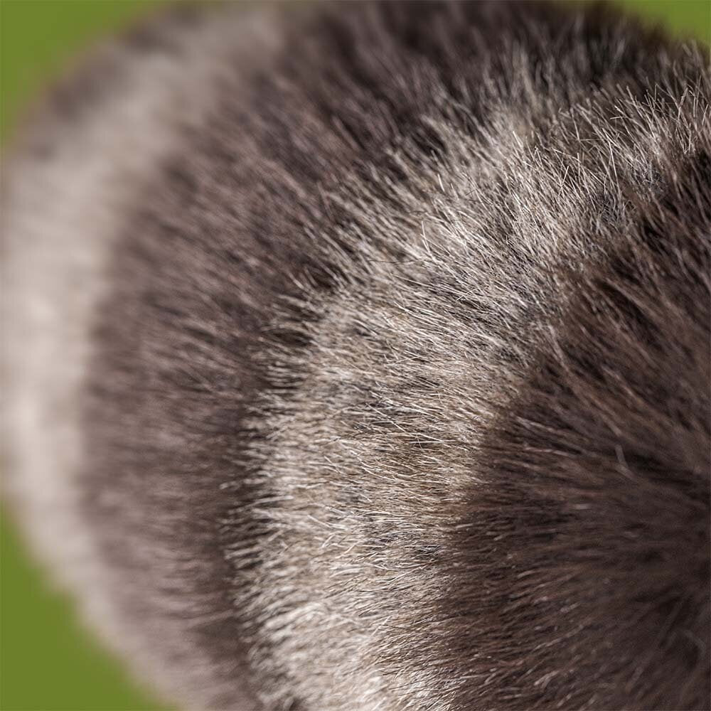 Kuscheltier Waschbär "Trixiwoo" - 24 cm (Braun)
