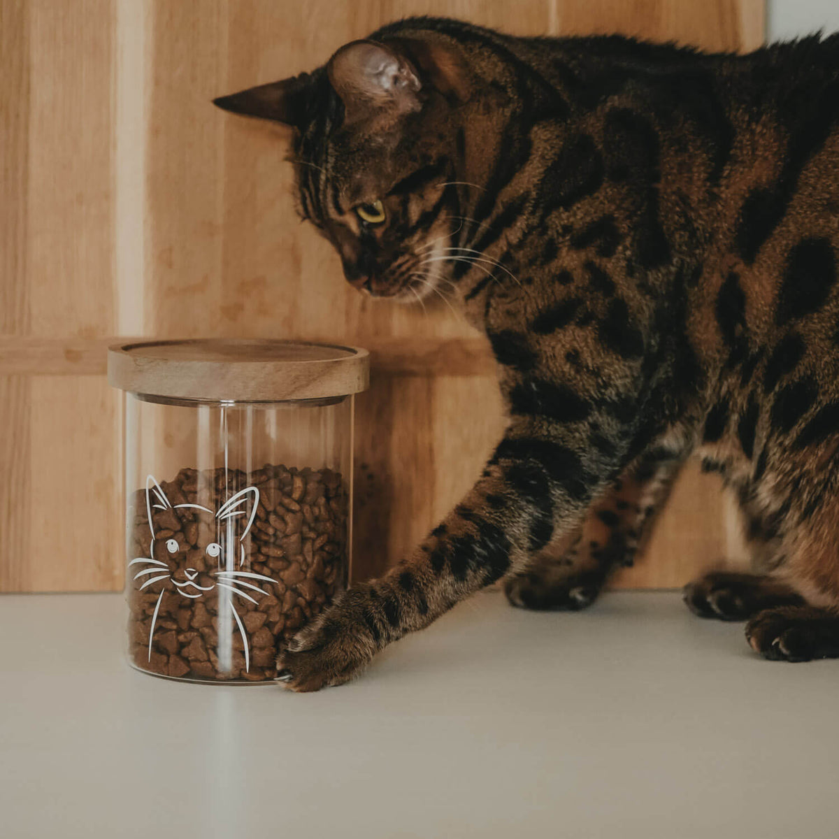 Vorratsglas "Katze" - 13 cm