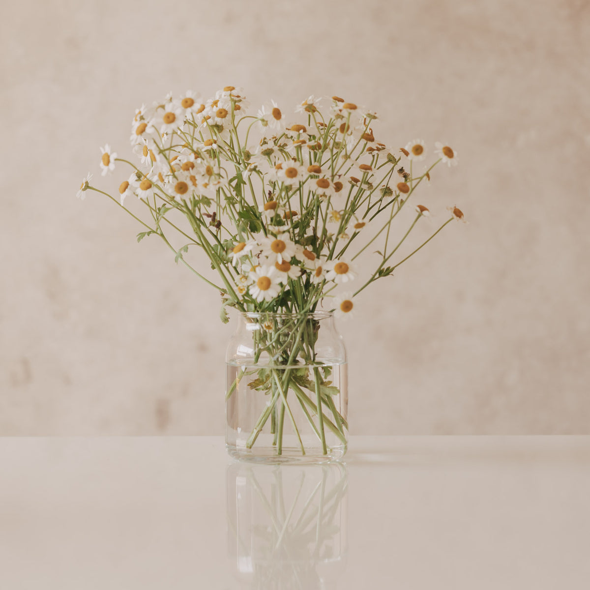 Vase aus Glas "Herzen" - Klein (Weiß)