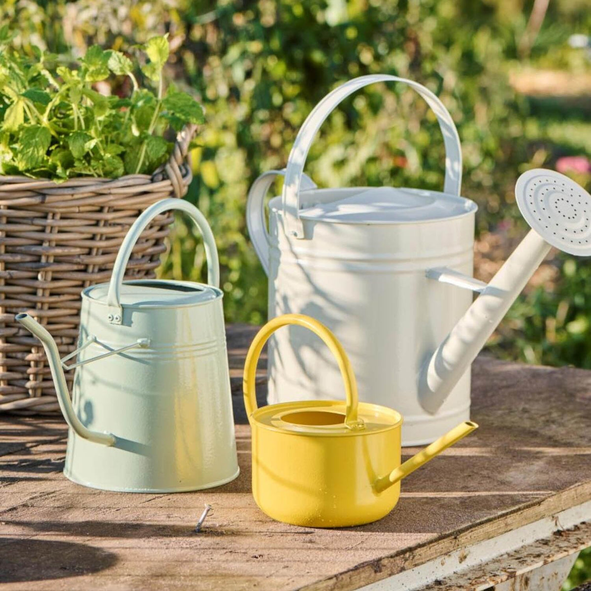 Gießkanne mit Brause - 6,3 l (Graunatur)