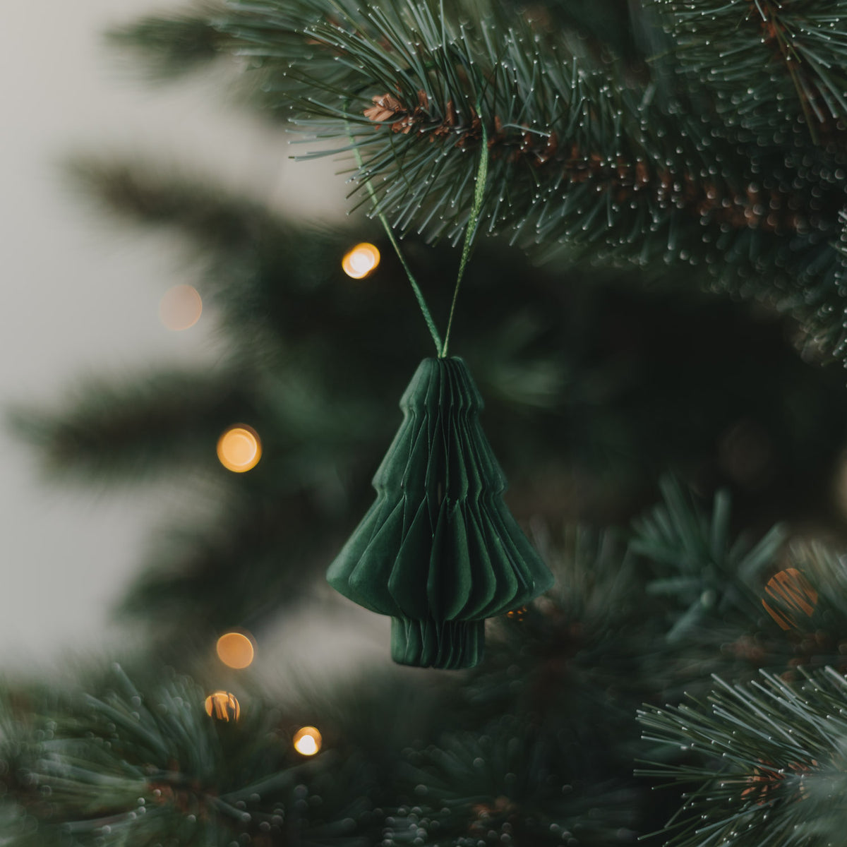 Dunkelgrüner Papieranhänger Tanne am Weihnachtszweig, gefaltet
