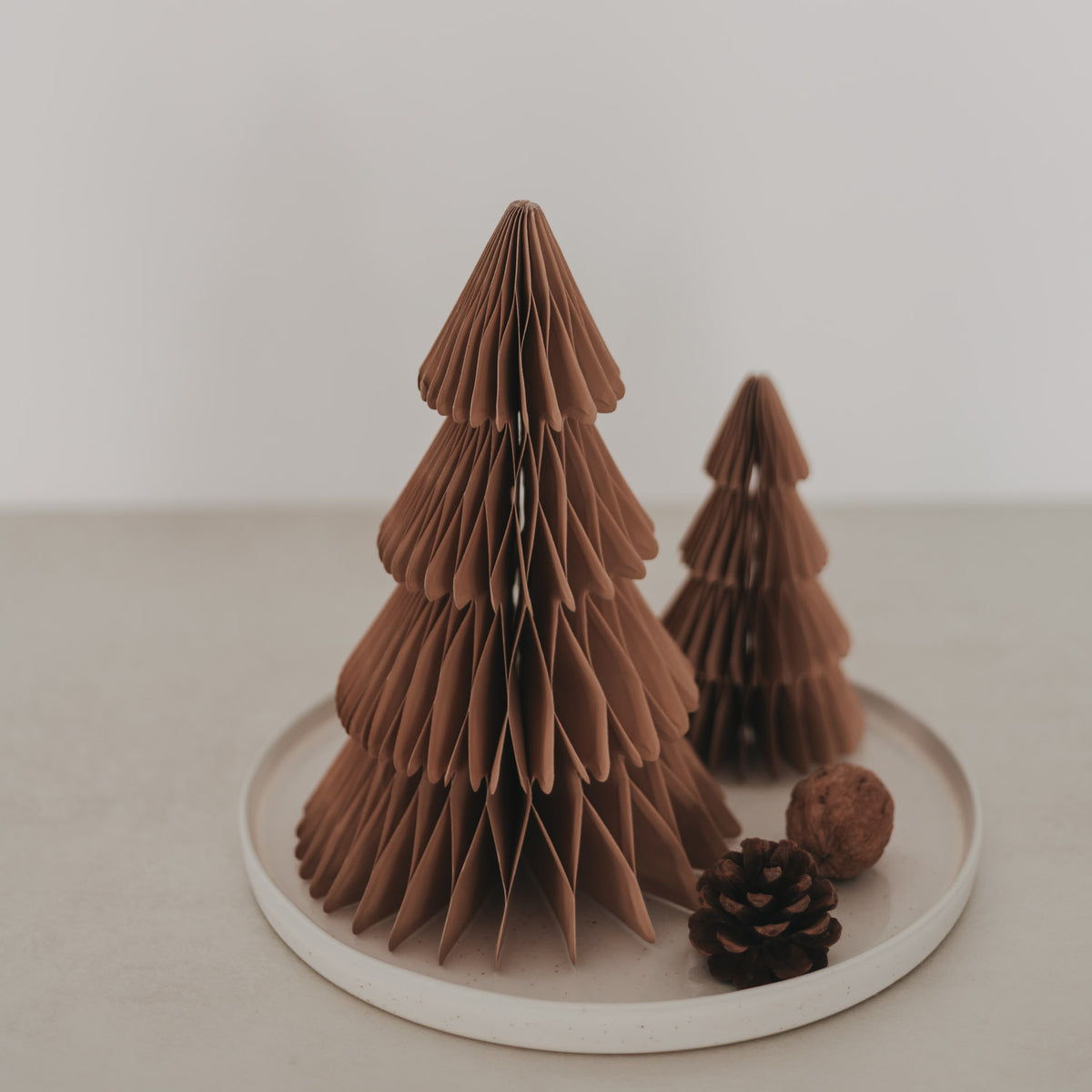 Braune Papiertanne aus Papier mit geschichteten Lagen, kleiner Baum und Zapfen